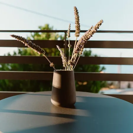 Ollenia's Harmony Luxury *