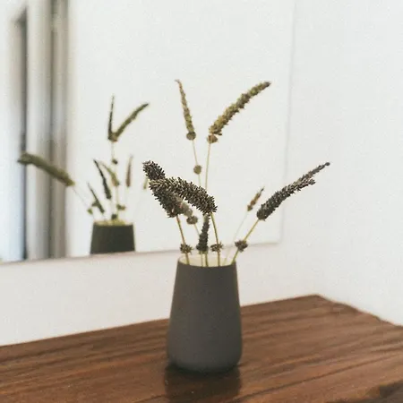 Apartmán Ollenia's Harmony Luxury Dhervénion