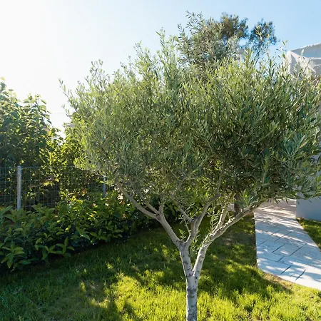 Ollenia's Harmony Luxury Appartamento *