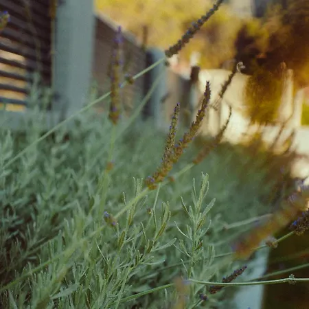 Apartment Ollenia's Harmony Luxury Derveni