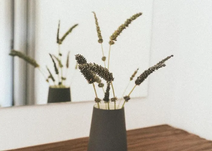 Apartment Ollenia's Harmony Luxury Derveni